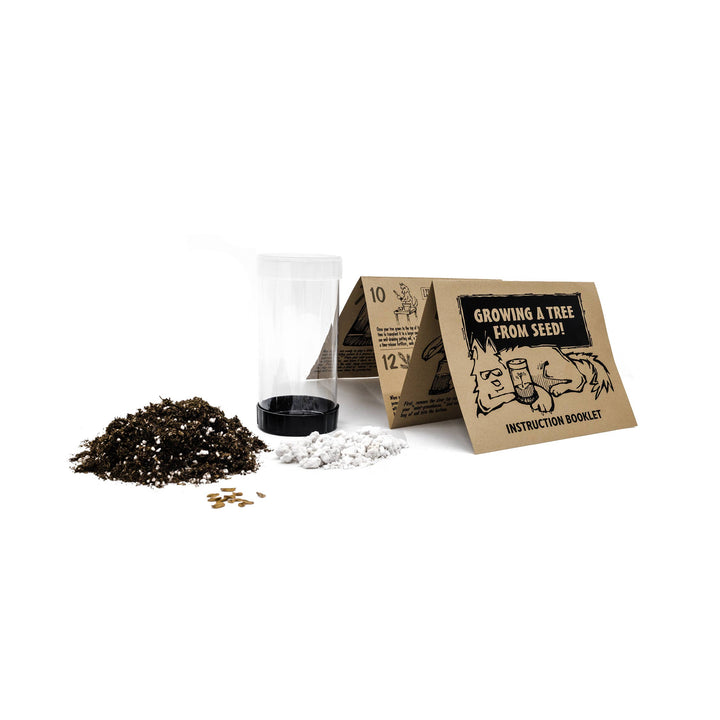 Quaking Aspen | Seed Grow Kit