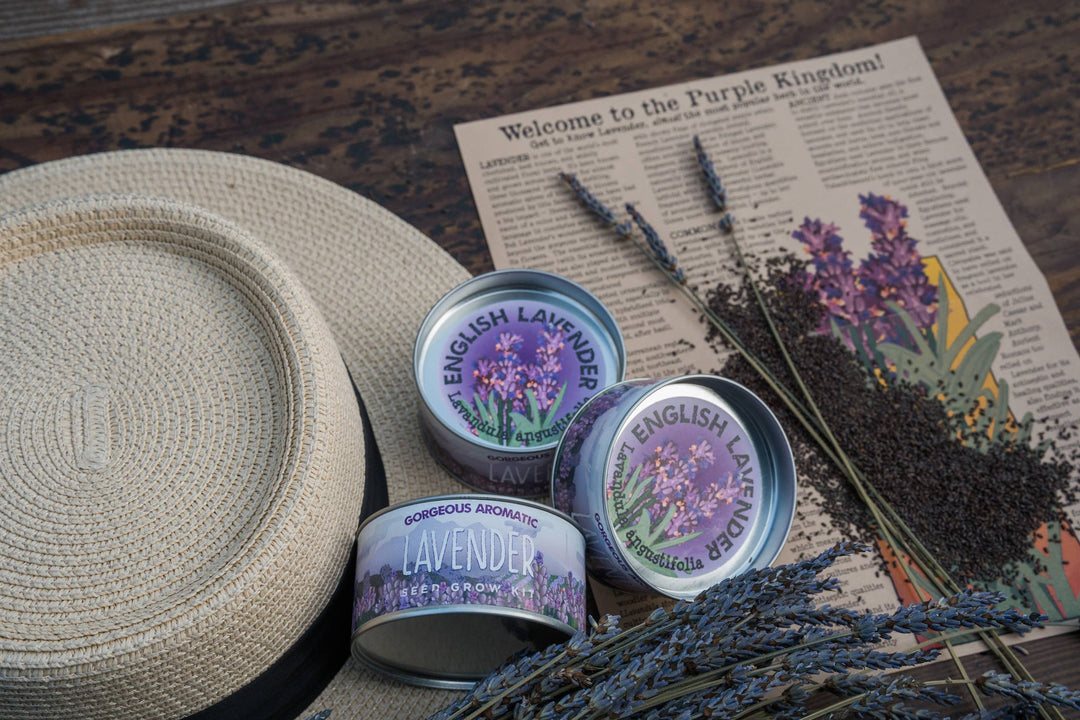 Lavender | Flower Seed Grow Kit