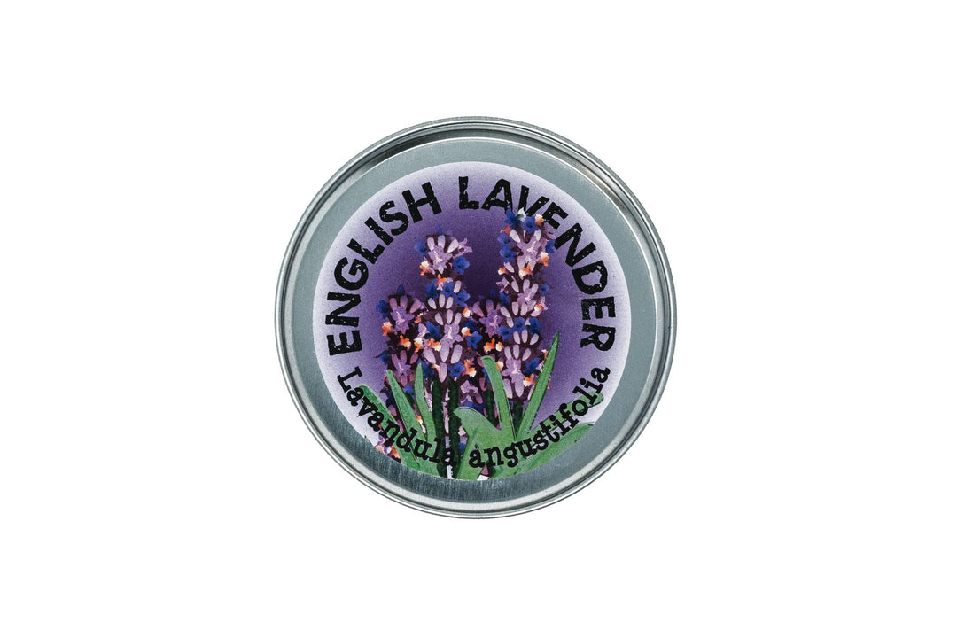 Lavender | Flower Seed Grow Kit