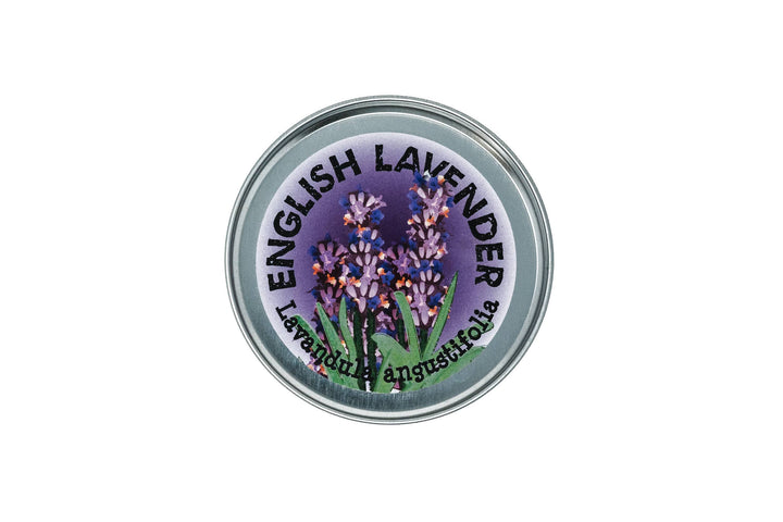 Lavender | Flower Seed Grow Kit