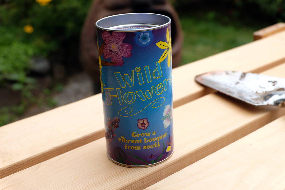 Wildflower Mix | Seed Grow Kit