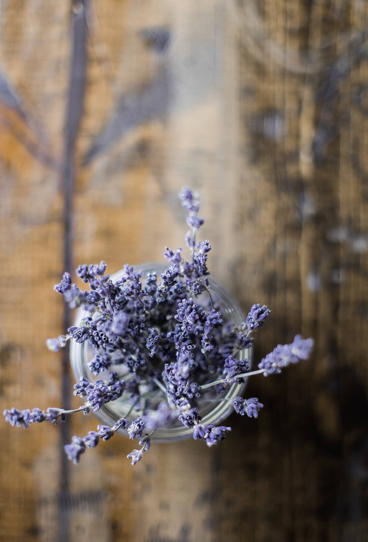 Lavender | Flower Seed Grow Kit