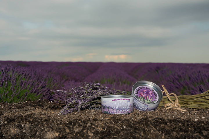 Lavender | Flower Seed Grow Kit